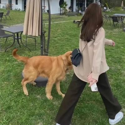 发财日记