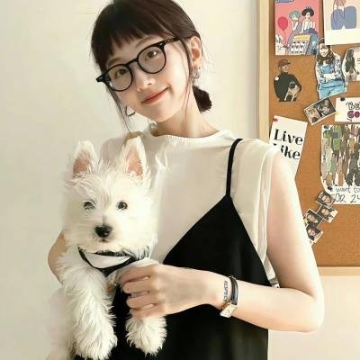 五十公里桃花坞4